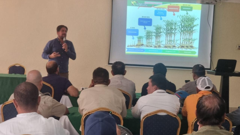 Enlasa fortalece el cultivo de caña de azúcar en Nicaragua con charla técnica sobre biostimulación